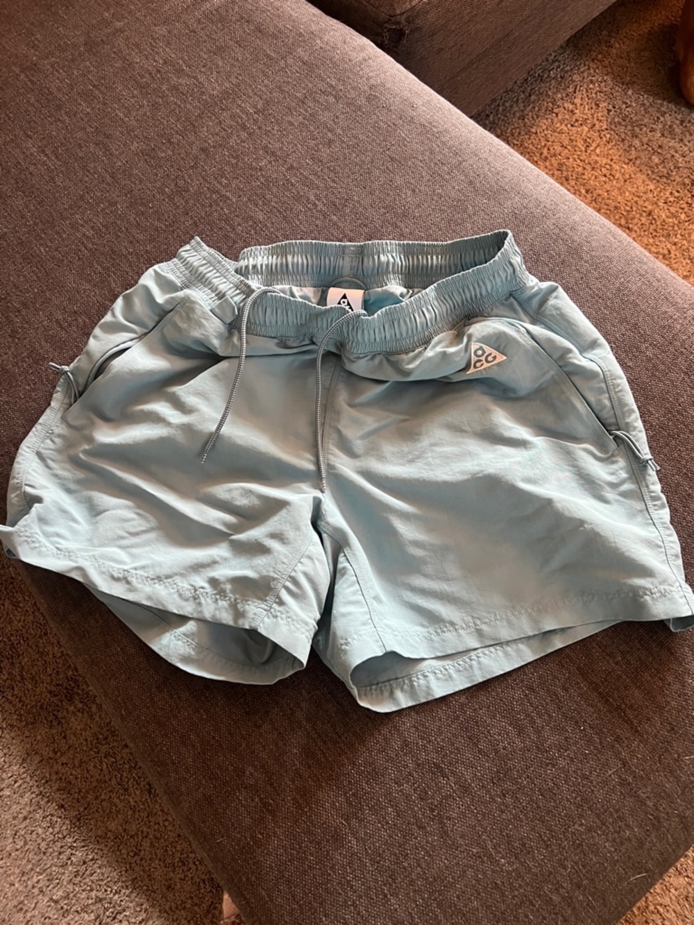 EUC Nike Reservoir Goat ACG Shorts